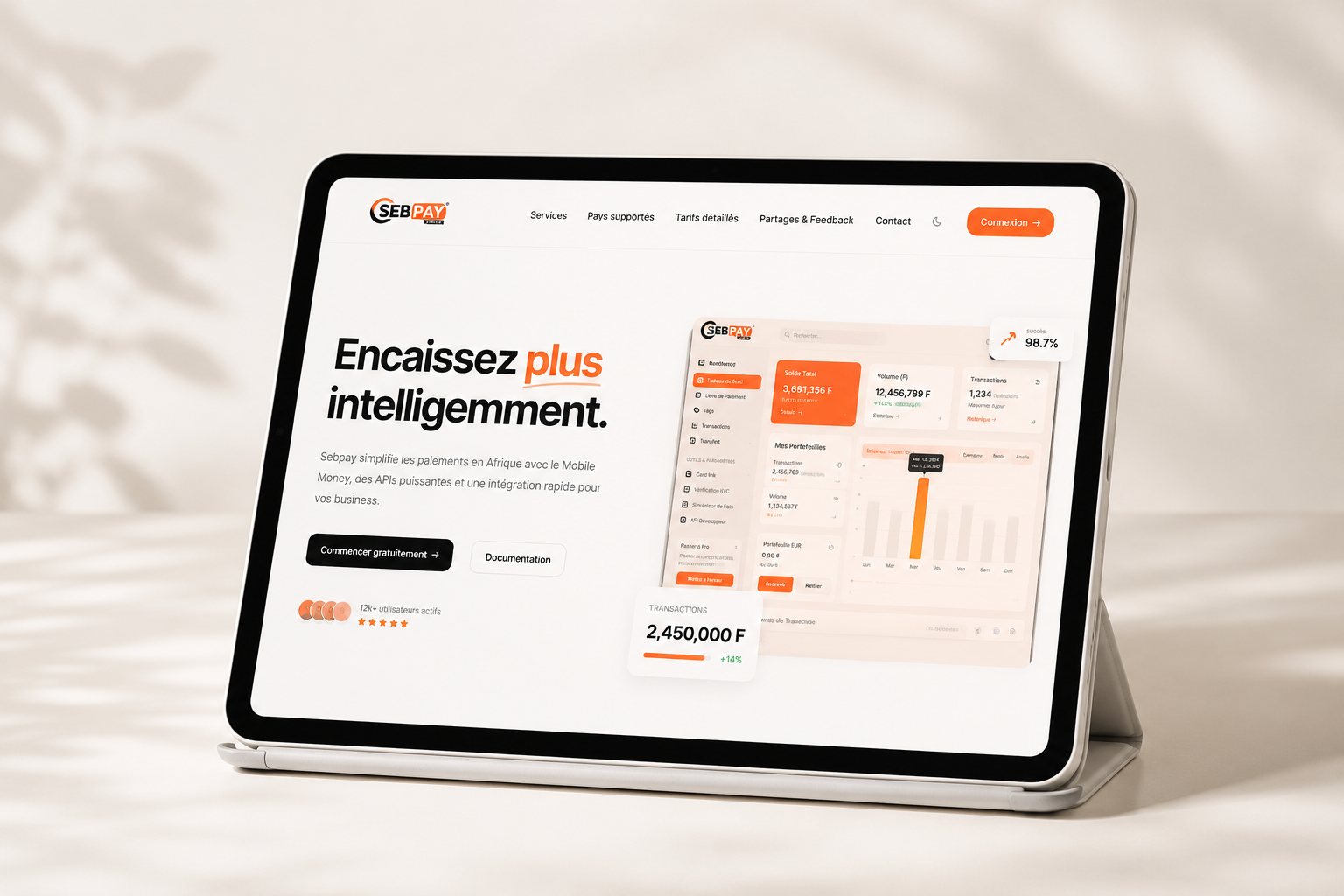 Sebpay Fintech Afrique